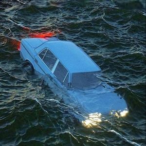 Meet your Posher, Cody